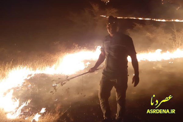 مرگ دردناک پرندگان در میان شعله‌های آتش خائیز+تصاویر