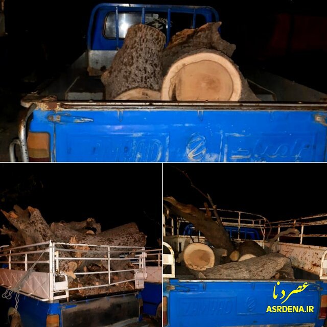 توقیف ۳ دستگاه خودرو حامل چوب قاچاق در شهرستان بویراحمد