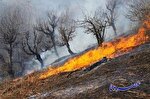 شناسایی ۲۱ مقصر آتش‌سوزی‌‌ جنگل‌های کهگیلویه و بویراحمد