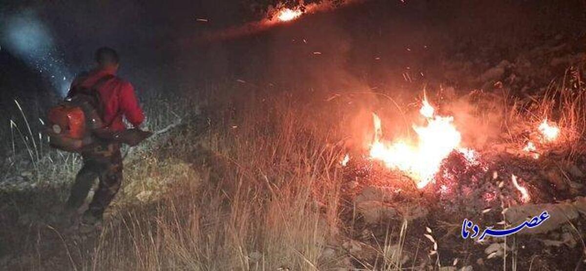مهار آتش در جنگل‌های لوداب  پایش منطقه ادامه دارد