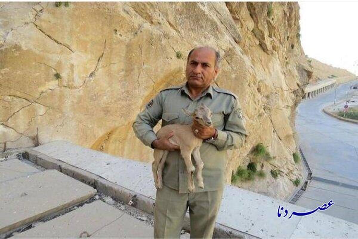 دومین قاتل شهید «دیده‌بان» دستگیر شد