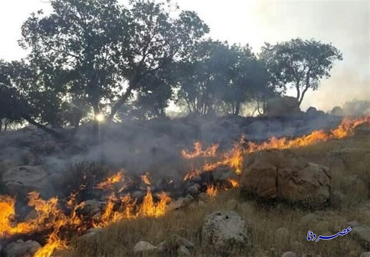 ۲۰ هکتار از جنگل‌های یاسوج در آتش سوخت