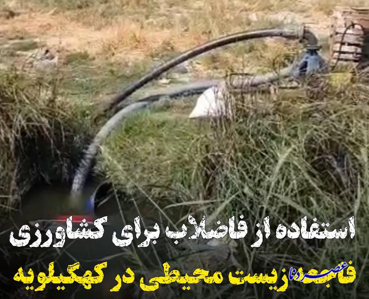 فاضلاب در یکی از مزارع دهدشت؛ فرماندار بی‌اطلاع، شبکه بهداشت جواب خبرنگار را نداد