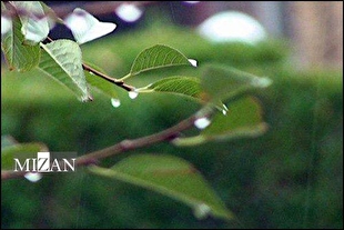 رگبار باران و وزش باد در ۱۳ استان