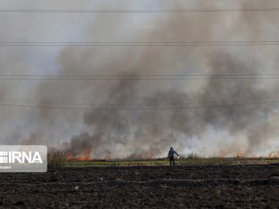 آتش سوزی گندمزار کرج تحت کنترل درآمد!