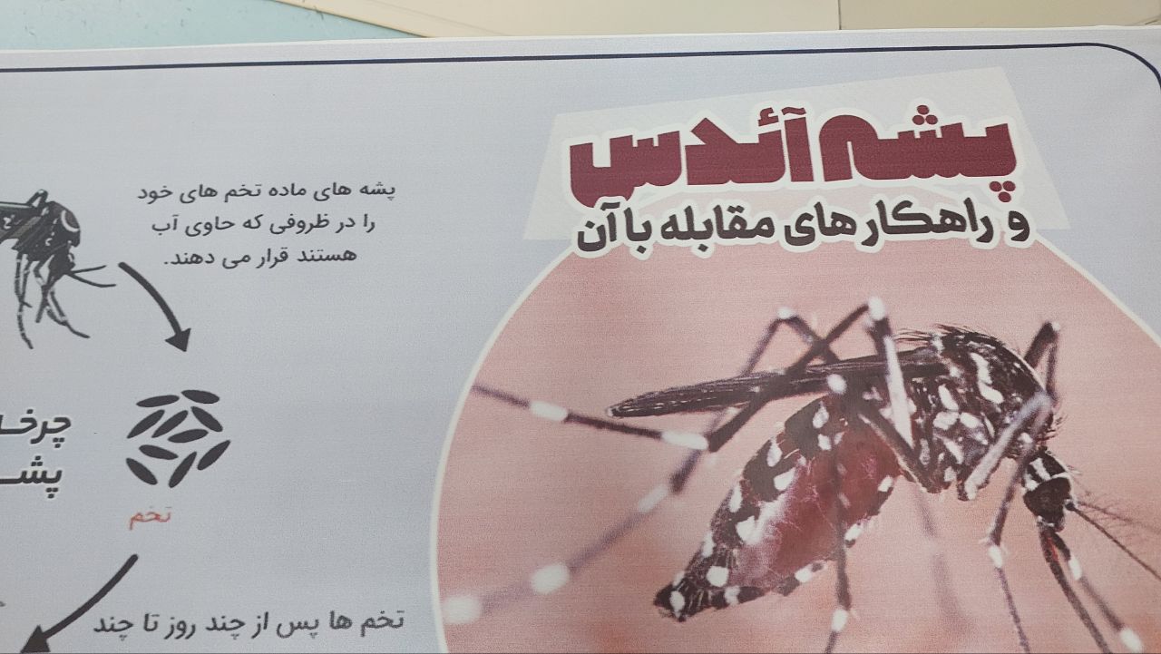 رئیس مرکز بهداشت چابهار: پیشگیری از گزش پشه آئدس مؤثرترین راه مقابله با تب دنگی است