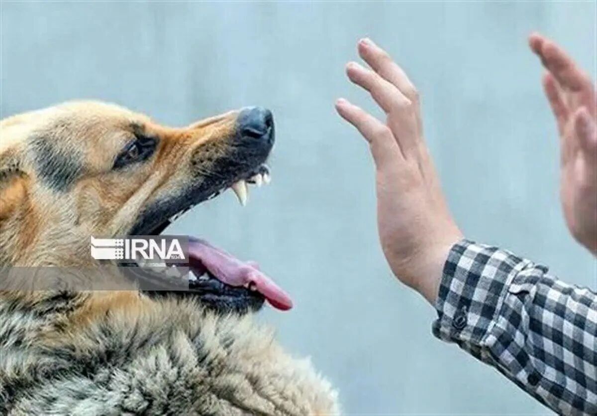 حیوان‌گزیدگی: یک اشتباه ساده، جانتان را به خطر می‌اندازد!
