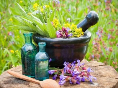 وبینارهای رایگان برای تسلط بر تجارت گیاهان دارویی در تهران