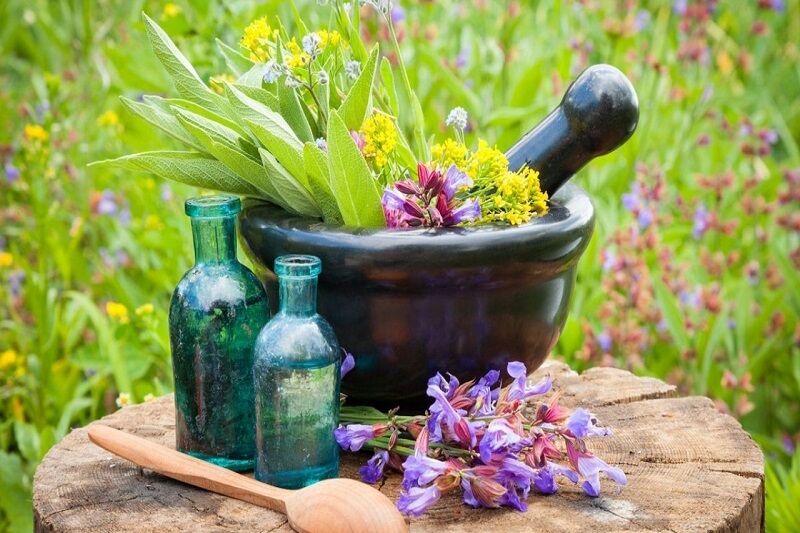 وبینارهای رایگان برای تسلط بر تجارت گیاهان دارویی در تهران