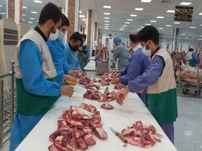 نظارت ویژه بر ۲ هزار دام قربانی در آذربایجان‌شرقی در ایام عزاداری