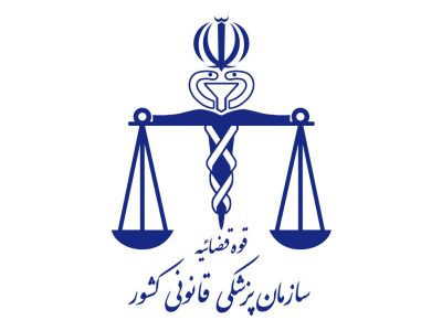فیلم| مدیرکل پزشکی قانونی یزد: فرآیند پاسخگویی به پرونده تصادفات کاهش می‌یابد