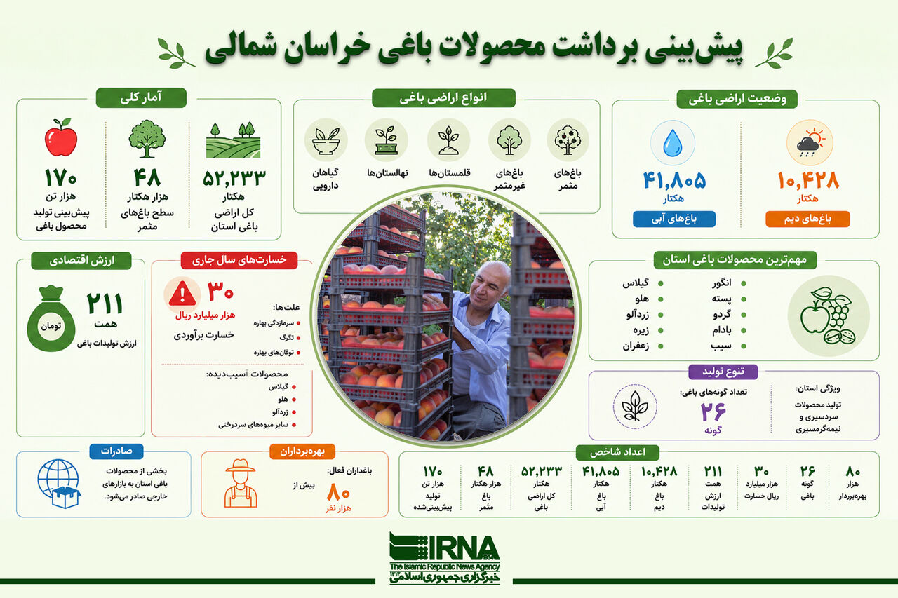 خراسان شمالی: ۱۷۰ هزار تن محصول باغی در سایه خسارت‌های طبیعی