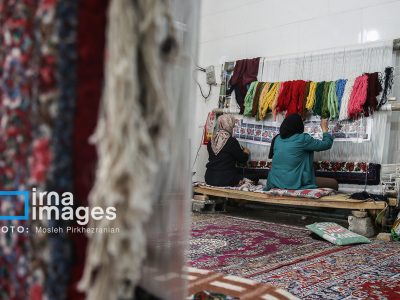 تسهیلات ۴۴۶ میلیارد ریالی برای رونق مشاغل خانگی در خراسان‌شمالی!