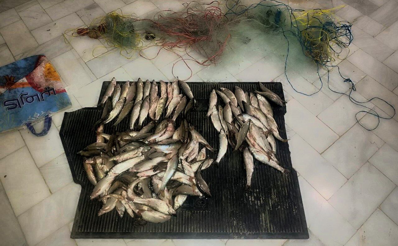 دستگیری صیادان غیرمجاز در قلب حیات وحش البرز!