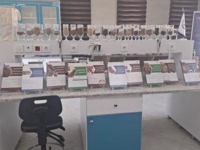 حمایت از کارآفرینان با طرح‌های توجیهی جهاددانشگاهی در خراسان جنوبی