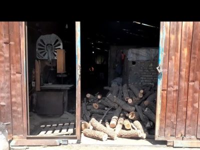 توقیف ۲.۳ تن چوب بلوط: کارگاه ذغال غیرمجاز در کرمانشاه متلاشی شد!