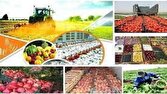 ۸.۷ همت سرمایه گذاری در صنایع تبدیلی و تکمیلی بخش کشاورزی به بهره برداری رسید