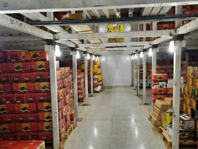 خرما در سردخانه های بم دپو شده است؛ نخل‌ داران در انتظار تدبیر