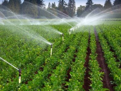 اجرای سیستم‌های نوین آبیاری در ۶۲ هزار هکتار از اراضی کشاورزی لرستان