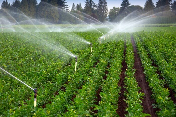 اجرای سیستم‌های نوین آبیاری در ۶۲ هزار هکتار از اراضی کشاورزی لرستان