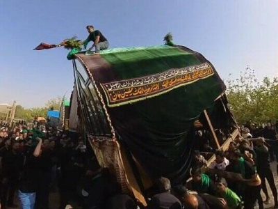 نخل‌گردانی شهر جنگل شهرستان رشتخوار