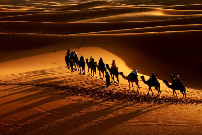 شبی تاریک در دل آتش: مصیبت اسارت اهل بیت (ع) بعد از عاشورا