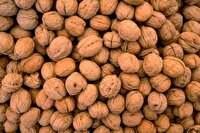 جریمه قاچاقچی گردو در اهواز