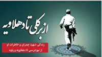 «ترمه» و «از برکلی تا دهلاویه»، از رادیو و تلویزیون