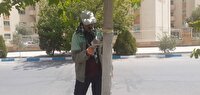 حفاظت از فضا‌های سبز شهر یزد با اجرای مدیریت تلفیقی آفات