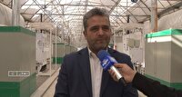 فعالیت ۶۰۰ هکتار وسعت زیر کشت گلخانه‌ای در دهاقان