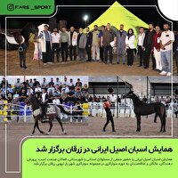برپایی همایش اسبان اصیل ایرانی در زرقان