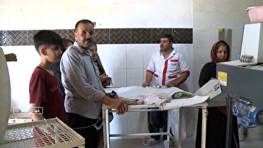 افزایش قیمت نان با مصوبه کارگروه آرد و نان آذربایجان‌غربی