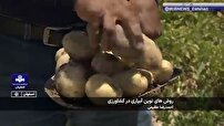 آبیاری به روش نوین در مزارع کشاورزی اصفهان