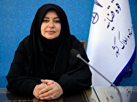 موسسات غیرتجاری مجاز به انجام فعالیت‌های تجاری نیستند