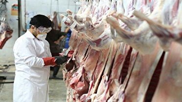 نظارت ۳۵ گروه دامپزشکی در کرمانشاه بر ذبح دام‌های نذری