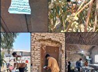 دستگیری ۶ تبعه غیرمجاز و مهروموم ۴ واحد صنفی متخلف در قم