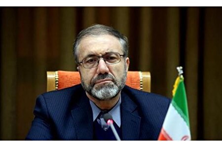 ذوالفقاری: سهم زنان معتاد در ایران کمتر از میانگین جهانی است