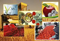 جهش صنایع تبدیلی کشاورزی خراسان رضوی