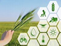 رونق اقتصادی در آذربایجان‌غربی با اجرای بیش ۳۲۰ طرح کشاورزی