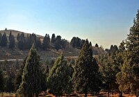 اجرای آبرسانی زیر سطحی در بوستان جنگلی سرخه حصار