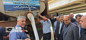 آغاز رهاسازی بیش از ۴۰۰ میلیون قطعه بچه ماهی در آبهای کشور/ سهم گیلان ۱۰۰ میلیون قطعه