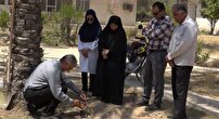 آبیاری نخیلات بوشهر: نوآوری برتر در جشنواره ملی آب