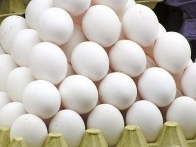 صادرات تخم‌مرغ گلستان به عراق و افغانستان