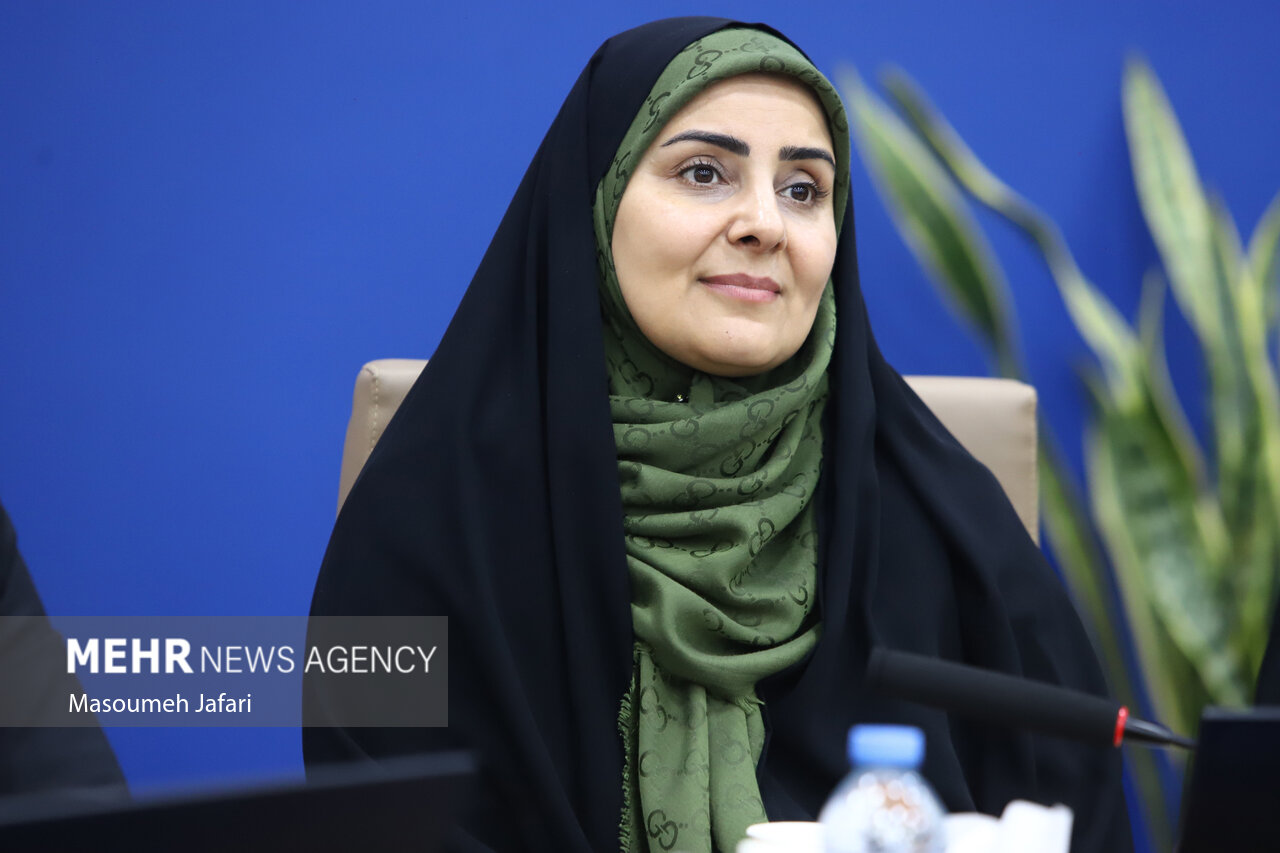 صادق: مشکل ریل کمبود ناوگان نیست، نبود تضمین بار است