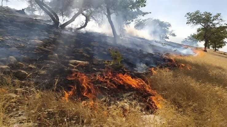 مهار کامل آتش‌سوزی در ارتفاعات باباکوهی شیراز