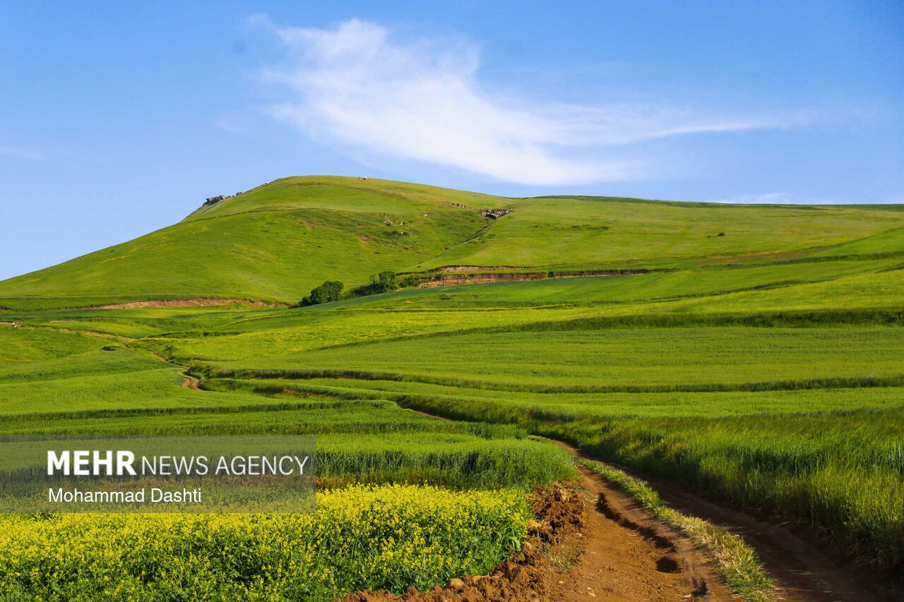 شهرستان گرمی؛نگین سبز اردبیل