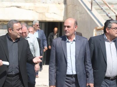 شکری: مجموعه ورزشی علی دایی به قطب بین‌المللی ورزش تبدیل می شود
