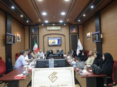 ۸۸۰۰ نفر در استان بوشهر ارزیابی سلامت روان شدند