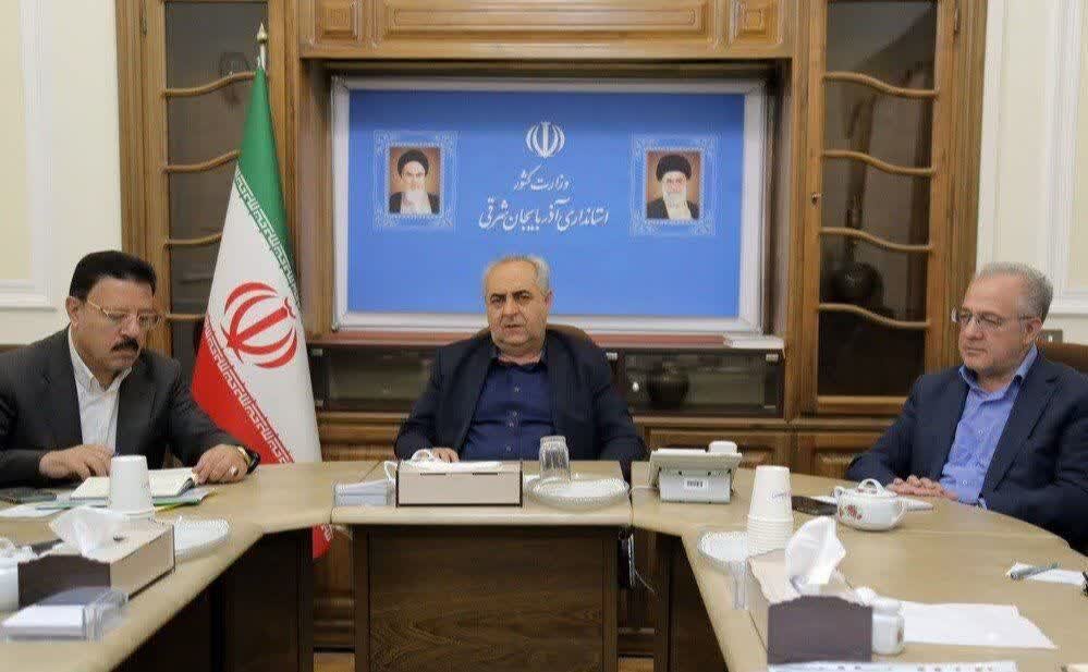 سرمست: حلقه تولید خودرو در آذربایجان شرقی ناقص است