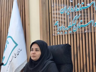 هشدار استاندارد درباره کالاهای فاقد نشان استاندارد و طلای بدون کد رهگیری/ ۴هزار بازرسی استاندارد در کهگیلویه و بویراحمد